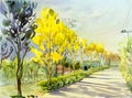 Watercolor painting original landscape yellow color of golden tree. Royalty Free Stock Photo