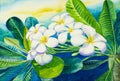 Watercolor painting original on paper colorful of white plumeria flowers. Royalty Free Stock Photo