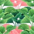 Watercolor painting palm leaf,green ,pink color leaves seamless pattern on white background.Watercolor summer illustration tropica Royalty Free Stock Photo
