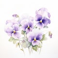 Delicate Watercolor Pansies: Purple And White Floral Illustration