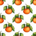 Watercolor painting pattern ripe tangerine with green leaves.