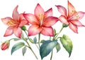 Close-up of a watercolor painting of a Penta flower. Ai-Generated