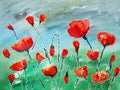 Watercolor painting, poppies