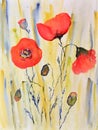 Watercolor painting, poppies