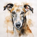 Watercolor painting of a portrait of a greyhound dog. Digital painting. AI Generated Generative AI