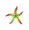 Watercolor painting rainbow starfish.