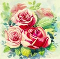 Watercolor painting realistic original red color of roses flower Royalty Free Stock Photo