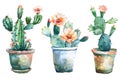 Watercolor painting realistic set pastel cactus flowers in pots on white background.