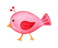 Watercolor painting red bird doodle. Cartoon style caricature cute bird. Royalty Free Stock Photo
