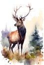 watercolor painting of red deer Cervus elaphus