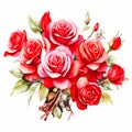 A Detailed Watercolor Portrait of Red Roses Blossoming Against a Serene White Background