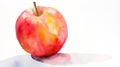 Watercolor painting of a red and yellow apple on a white background with a soft shadow Royalty Free Stock Photo