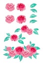 Watercolor painting of rose collection Royalty Free Stock Photo