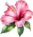 Watercolor painting of Rose of Sharon flower. AI-Generated.