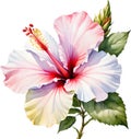 Watercolor painting of Rose of Sharon flower. AI-Generated.