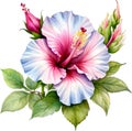 Watercolor painting of Rose of Sharon flower. AI-Generated.