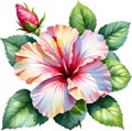 Watercolor painting of Rose of Sharon flower. AI-Generated.