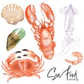 Watercolor painting seafood set