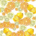 Watercolor painting, seamless pattern. tropical fruits, citrus fruits, slices of lemon and orange. Trendy stylish art background Royalty Free Stock Photo