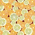 Watercolor painting, seamless pattern. tropical fruits, citrus fruits, slices of lemon and orange. Trendy stylish art background Royalty Free Stock Photo