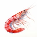 Hyper-realistic Watercolor Painting Of Krill: Detailed Shrimp Illustration