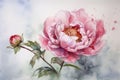 Watercolor painting of a single pink peony with intricate details and soft brushstrokes on a light background