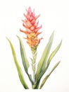 Watercolor Painting of Sinningia Peruviana on White Surface AI Generated