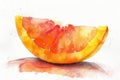 A watercolor painting of a slice of grapefruit Royalty Free Stock Photo