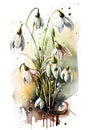 Watercolor painting of snowdrop flower and earthworm flower. white background