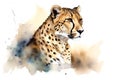 Watercolor painting of a spotted cheetah on a white background. Wildlife Animals. Illustration, generative AI Royalty Free Stock Photo