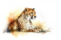 Watercolor painting of a spotted cheetah on a white background. Wildlife Animals. Illustration, generative AI Royalty Free Stock Photo