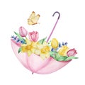 Watercolor painting spring flowers, pink open umbrella with tulips