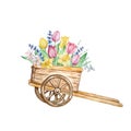 Watercolor painting spring flowers, wooden cart with tulips