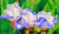 Watercolor painting of three blue white iris flowers