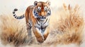 Watercolor painting: tiger gracefully walks in tall grass on beige