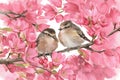 Watercolor painting of tiny birds amidst pink blossoms on branch