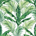 Watercolor painting tree banana,coconut leaves seamless pattern background.Watercolor hand drawn illustration tropical exotic leaf Royalty Free Stock Photo