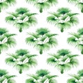 Watercolor painting tree palm leaves seamless pattern on white background.Watercolor hand drawn illustration tropical exotic leaf Royalty Free Stock Photo