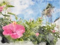 Watercolor painting of a tropical holiday vacation scene with a bright pink hibiscus flower in front of white blurred buildings Royalty Free Stock Photo