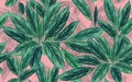 Watercolor painting tropical leave,coconut,palm leaf, seamless pattern on pink color background.Watercolor illustration tropical e