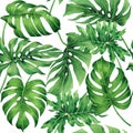 Watercolor painting tropical monstera,palm leaf,green leave seamless pattern background.Watercolor hand drawn illustration tropica Royalty Free Stock Photo