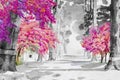 Watercolor painting of Tunnel trees with cherry blossom. Royalty Free Stock Photo