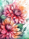 Watercolor painting of two dahlia flowers Royalty Free Stock Photo