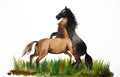 Watercolor painting of two horses playing Royalty Free Stock Photo