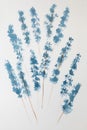 Watercolor painting vibrant color blue flower branch with leaf