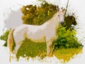 Watercolor painting of white Lusitano horse, cute and friendly