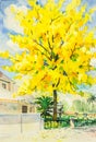 Watercolor painting yellow, orange color of golden shower tree flowers Royalty Free Stock Photo