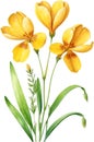 Watercolor paintings of Birdâs foot trefoil and flowers. Ai-Generated.