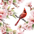 Watercolor paintings of colorful Northern cardinal birds. Ai-Generated. Royalty Free Stock Photo