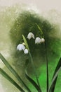 Watercolor paintng of a spring snowflake flower, Leucojum vernum. Botanical illustration